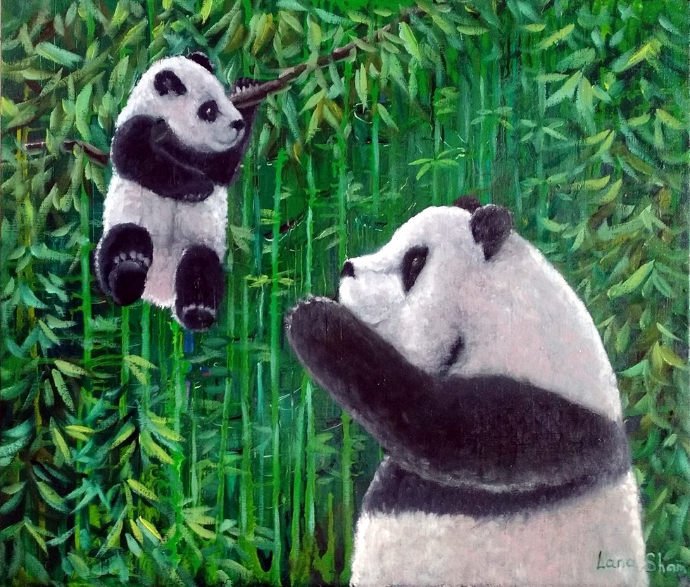 Маленькая любовь Большой панды